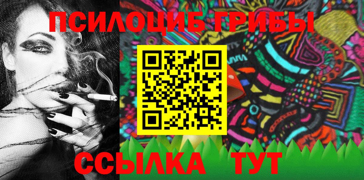 Галлюциногенные грибы Psilocybine cubensis Сердобск
